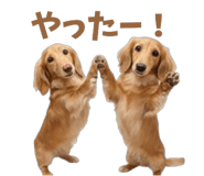 843375645