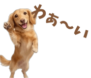 843375648