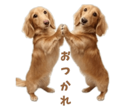 843375649