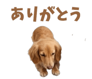 843375650