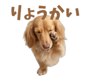 843375651