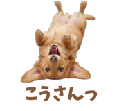843375652