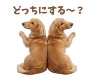 843375659