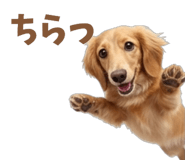 843375661