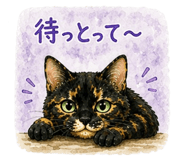 843375700