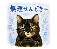 843375702