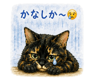 843375706