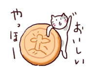 843375851