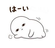 843375981