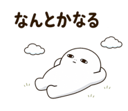 843376006