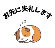 843376034