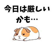 843376035