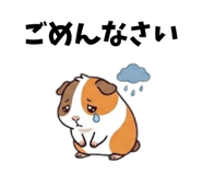 843376038