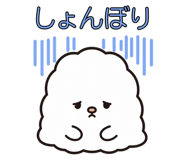 843376171