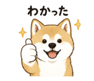 843376337