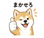 843376338