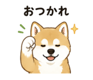 843376342