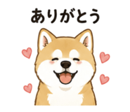 843376344