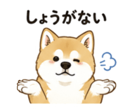 843376349