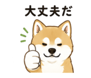 843376352