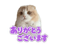 843376970