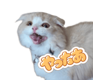 843376979