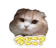 843376982