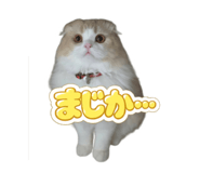 843376983