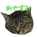 843377098