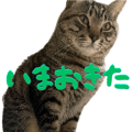 843377099