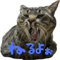 843377100