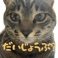 843377107