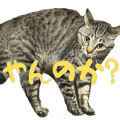843377110