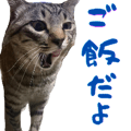 843377111