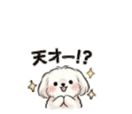843377116
