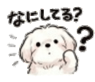 843377129