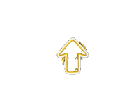 843377531