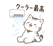 843377551