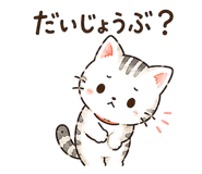 843377556