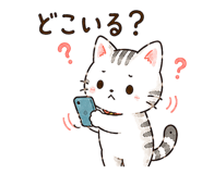 843377558
