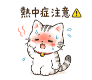 843377564