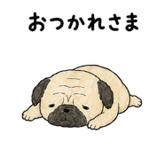 843377890