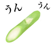 843377929