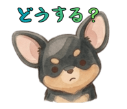 843378345