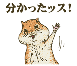 8433784