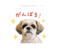 843378510
