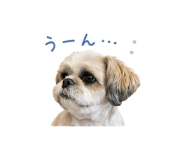 843378515