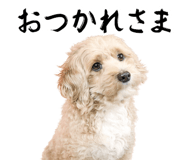 843378552