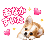 843378871