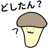 843379129